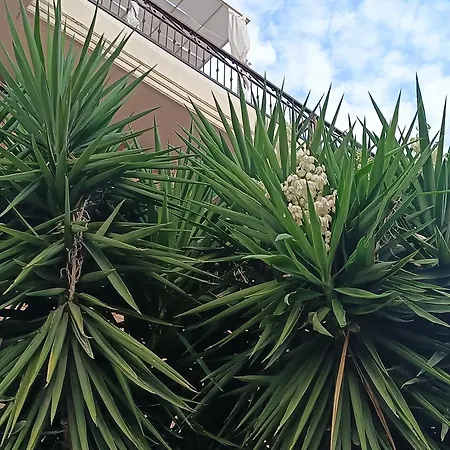 Apartman Beb Dragonara Torre Maggiore