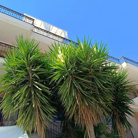 Beb Dragonara Lägenhet *